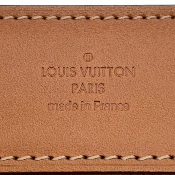 LOUIS VUITTON Hippo NS Nomade・Leather Brown M85130 - Picture 11 of 15